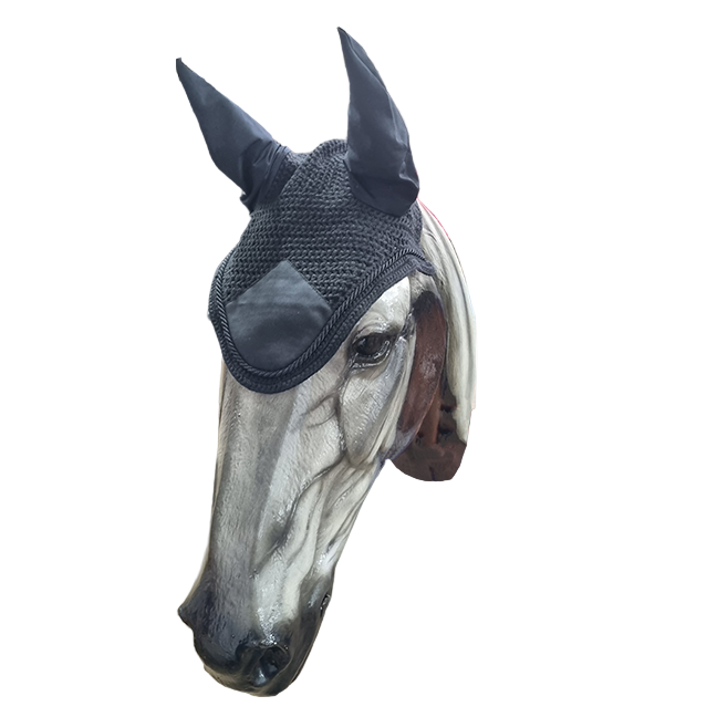 A horse wearing a black crochet ear veil that covers the ears and fits under the bridle.